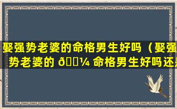 娶强势老婆的命格男生好吗（娶强势老婆的 🌼 命格男生好吗还是女生）